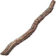 Dekorácia Repti Planet Korková vetvička XL 90cm-120cm