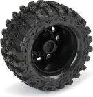 PRO1019010-04.jpg