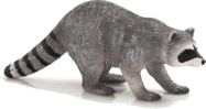 Mein Bär