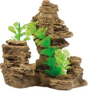 Dekorácia Aqua Excellent Skala s rastlinou 14x10,5x13cm
