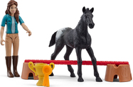 Schleich Zmaga na turnirju s Flockom