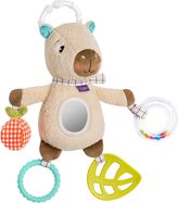 Activités capybara
