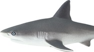 be108b7d07463e3f3bcbead0ca2ba2c86f448b2c_1600x1600_crop_center_11zon.jpg