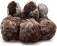 limited - MEDIUM - moutain wolf - back.jpg