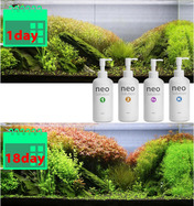ezgif-53db741cc287c522.jpg