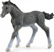 Schleich Žriebä koňa trakénskeho