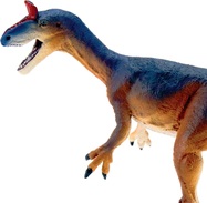 51f9ba06fbf3c047e884081acbff955c5a67ff14_1600x1600_crop_center.jpg