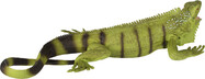 pgfcqq7.jpg