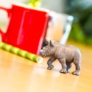 white-rhino-baby-612279.jpg