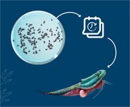 49a382cd6c770e1c30b0259edee43afd.jpg