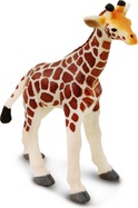 jddkzuvgc3pocoa8zh7y_1600x1600_crop_center.jpg