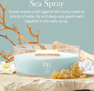 ezgif-295876f3edb602c8.jpg