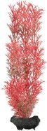 Dekorácia Tetra Rastlina Foxtail Red M 23cm