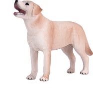 Mojo Labrador
