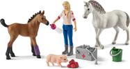 Schleich Návšteva lekára u kobyly a žriebätka