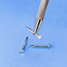 PTW1129_Nail.jpg
