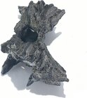 1 037487_v.jpg