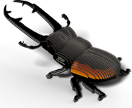 7bec185c203c7d71fff4bc0f9d30860d.png