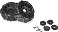 PRO1020211-02.jpg