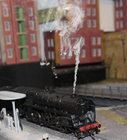 living-steam-1.jpg