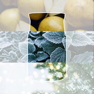 ezgif-2a062c2bbe4b9ec7.jpg