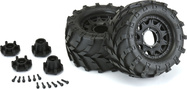 PRO119210-02.jpg