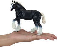 MJ381083_Clydesdale_cerny_3.jpg