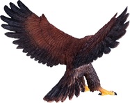MJ381051_5.jpg