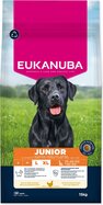 Krmivo EUKANUBA Junior Large rich in fresh chicken 15 kg