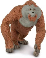 Safari® Orangutan