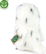 220041-3.jpg