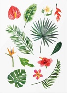 Tattoonme_TMTropic_Vodeodolne_docasne_tetovacky_Tropicke_rastliny_mix_03.jpg