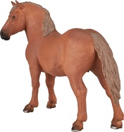 AP387195_1.jpg