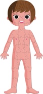 J02681_Janod_vzdelavacie_puzzle_ludske_telo_50-75-100_ks_02.jpg