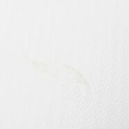 a192aab54d81863f185d5d67571d1df6.jpg