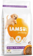 IAMS Dog Puppy Large Chicken 3kg