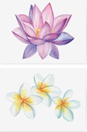 TSBaliFlowers_TATTonMe_Tetovacky_pre_zeny_Bali_kvety_sada_03.jpg