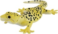 MJ381077_Leopard_Gecko_2.jpg