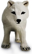 rmxwl1eb99qbftqyfsha_1600x1600_crop_center_11zon.jpg