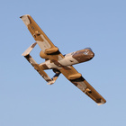 EFLU6550_03.jpg