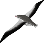 bd9bf318e7e1dd3a113f3f960b8b086c.png