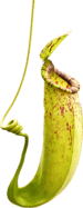 fe01ce33b11b1f8c627576b7f17fe8b3.png