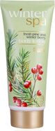 ACCENTRA Mlijeko za tijelo Winter Spa u tubi Zimsko voće 200ml