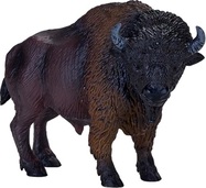 MJ381076_American_Bison_1.jpg