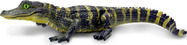 ezgif-51604eeae8eccc4c.jpg