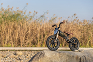 AGS/B90-black-golden/FA8A8138.jpg