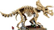 LEGO_77985_WEB_SEC01_NOBG.jpg