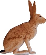 MJ381072_Hare_zajic_1.jpg
