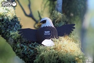 file_en_165650_l.jpg