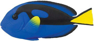Safari® Ryba modrý tang